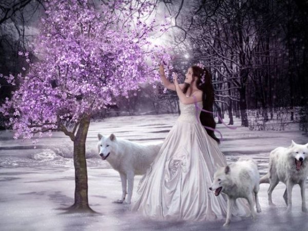 getImage-105