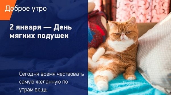 Доброе утро