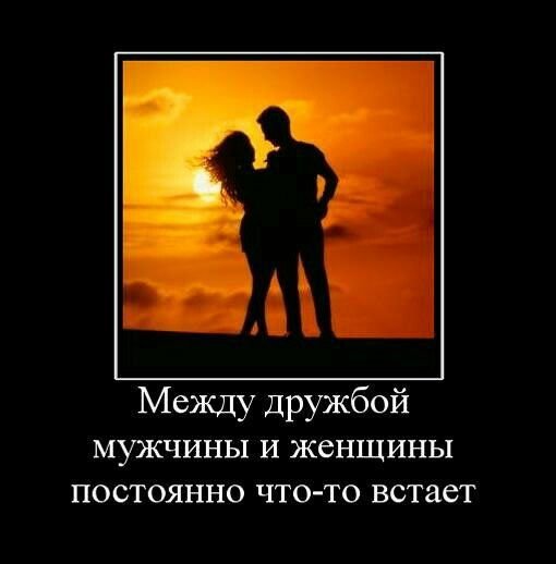 picture_408439527