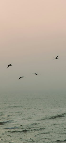 Emma-swoboda-VIGRIPoPZqI-unsplash