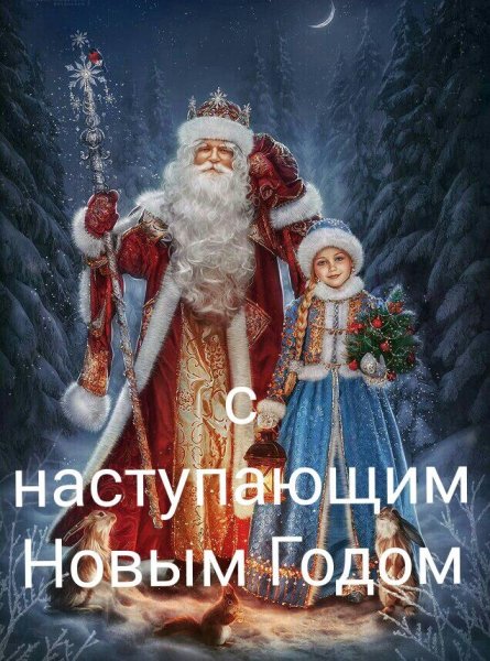 IMG-20231231-WA0082