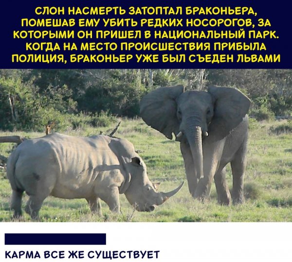 Карма