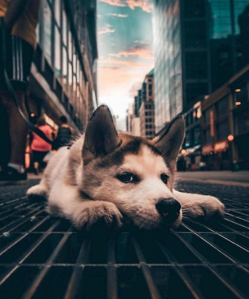 QzwFjX4I5 zCzL40d4Mku9h 2jq6SHZoBdXR5lcdLz73JowMYzQ7