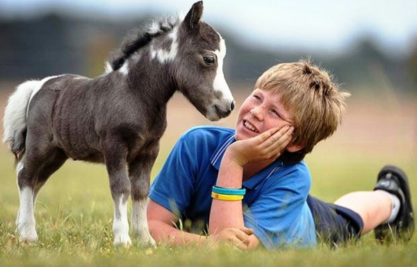 IMG 2014427 173151 36