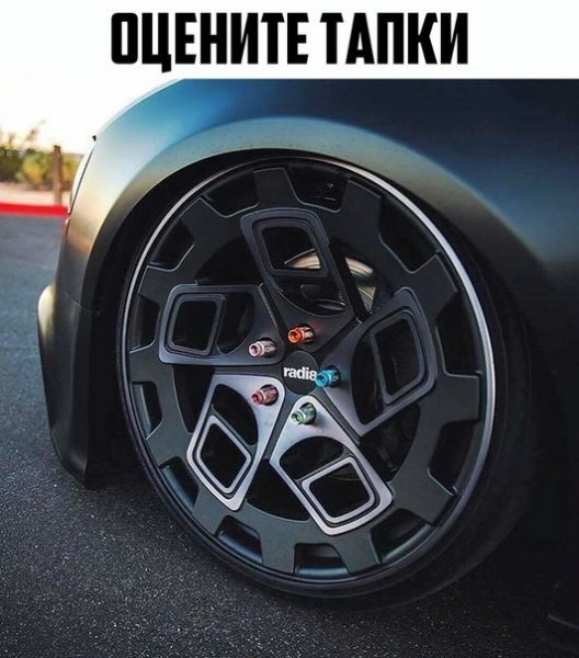 Оцените Тапки
