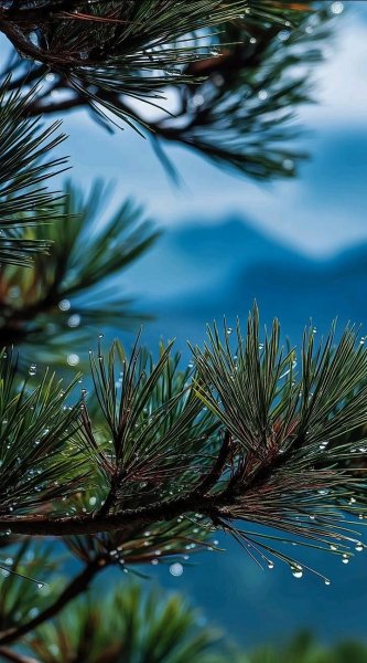 Арт Природа