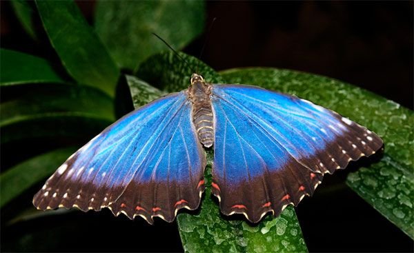 F0e49fe362808c30c3b83b73e652cbf7