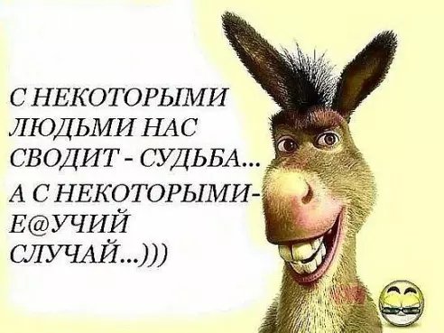 image(227)