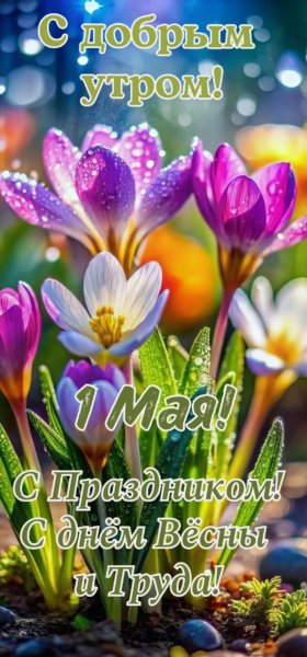 TUSWaM0aL6hcphvMujecbKuOoK-