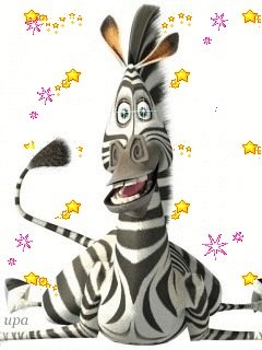 ZEBRA-