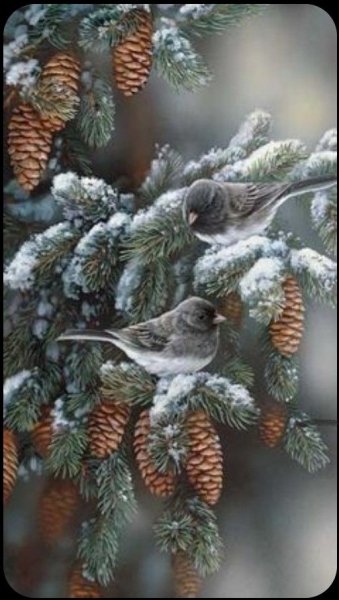 9e9516456c45677ebe4af40962224448