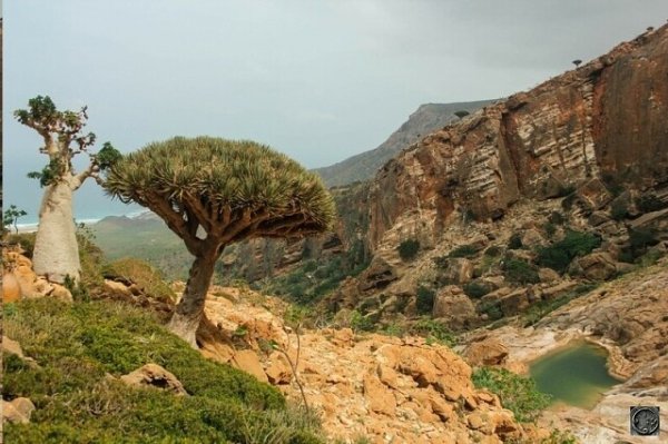 I - 2025-11-16T074815.812