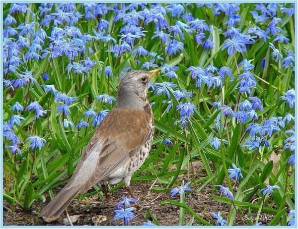 image (3) - 2020-05-28T233215.919