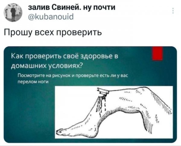 -pozhalovat-v-mir-svezhih-memov-i-smeshnyh-kommentariev-6