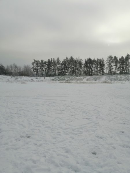 Зима