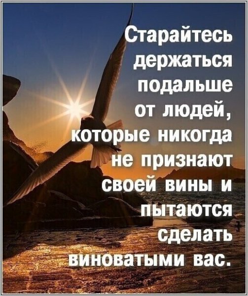 IMG 20210607 113424