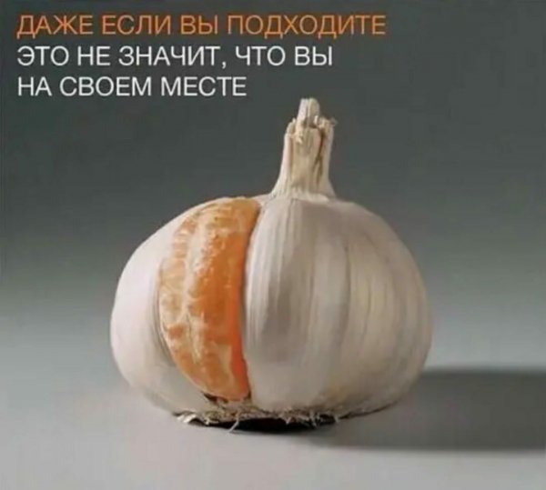 IMG 20211230 020615