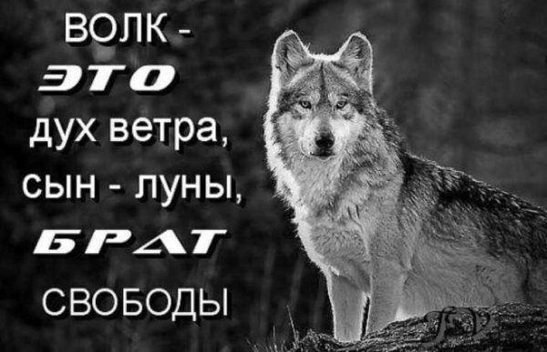Так!!!