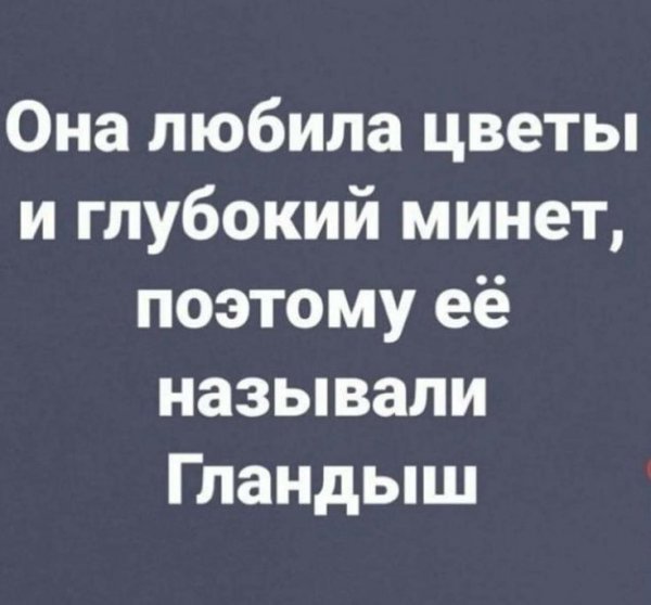 E384b3b1027f57e797e3a8fa38480aa5
