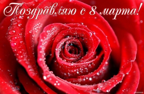 IMG-20180308-WA0022