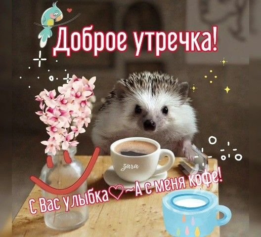 Dca1e1fcbb774786dc42c84440bdacfd