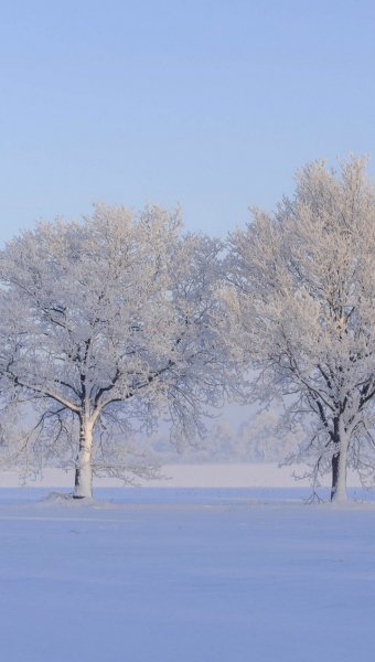 Screenshot 20260203-130559 One UI Home