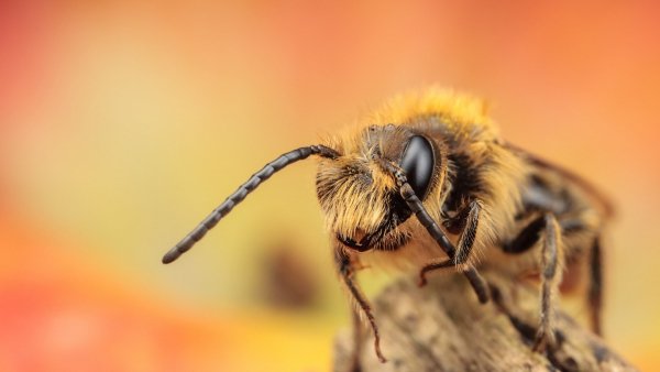 Full HD Wallpapers[-by BegGa] (86)