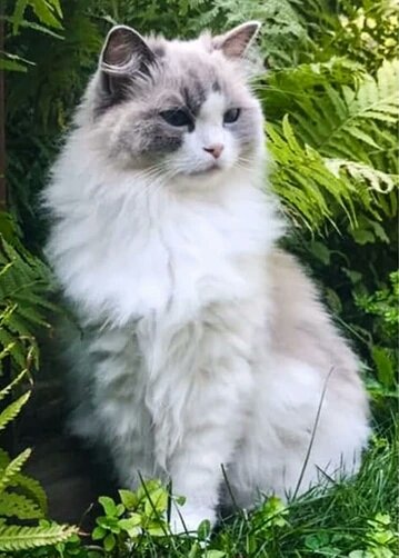 d965dae9fa813e30870b2db.jpg-3