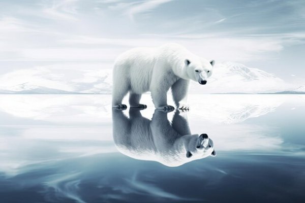 24 polar bear standing ice-floe with soft colors cool tones