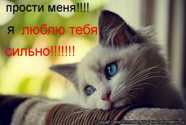 Прости меня...