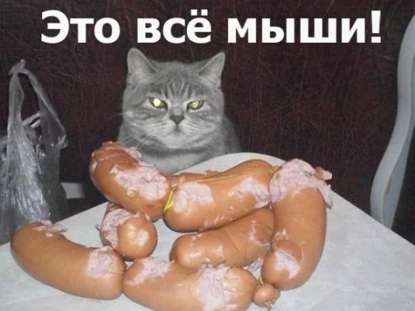 Kogda-tekst-i-kartinki-govorjat-sami-za-sebja-37