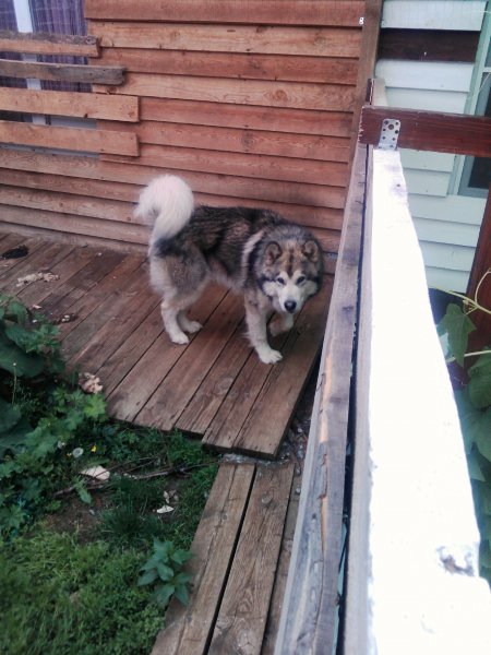 IMG 20170624 160545652
