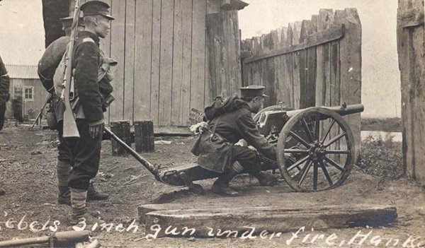 Gun