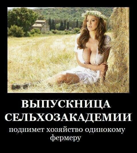 демотиваторы 200531