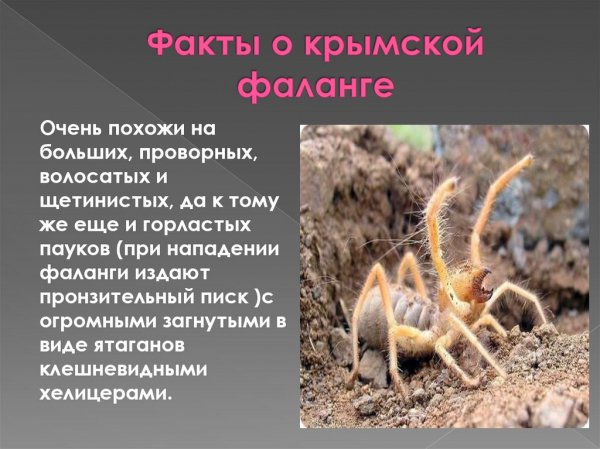 Это интересно