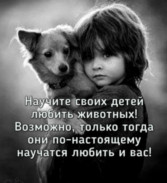 K3tp7FXnoLogiBG156ylVVXSCApgsD6O-6Le3O4ZMqD049qhgFToQzAgg400