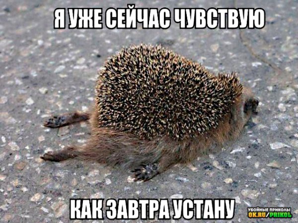 IMG 20211105 083940