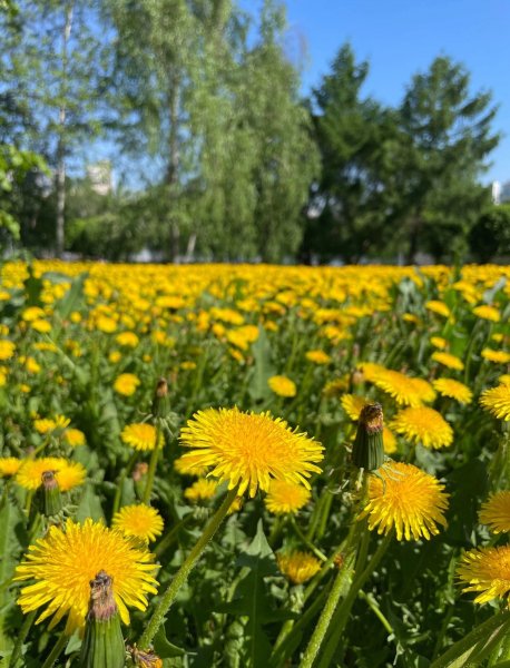 picture_413129637