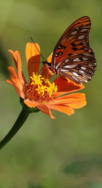 IMG 20231020 121416
