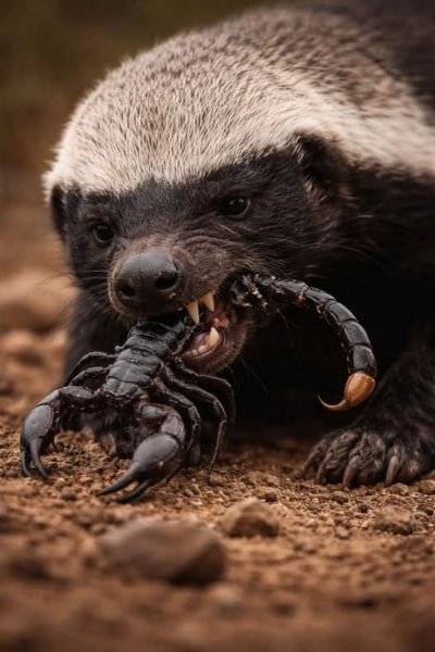 Лёгкий завтрак