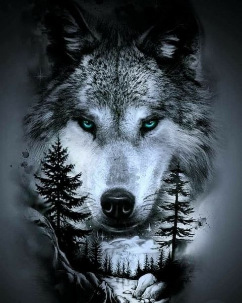 16-01-21-210761982 953249075511639 4919402821592296149 n