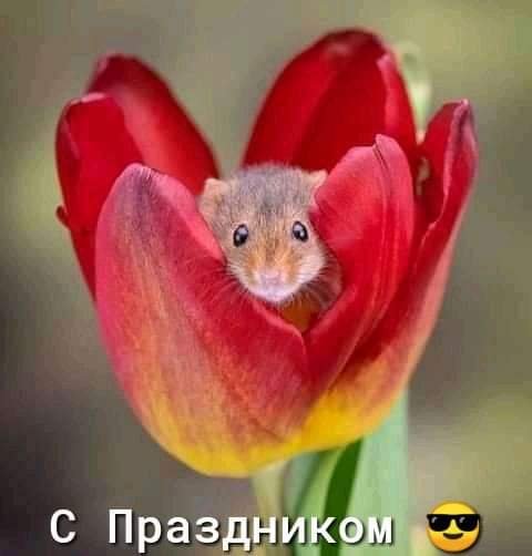 FB IMG 1615181104590