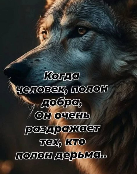 Кто счастлив сам, другим зла не желает!