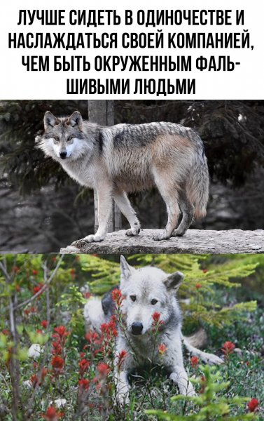Zk3tuNwR3XU