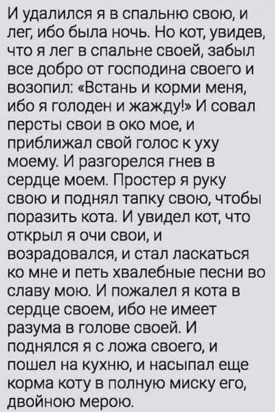 Ночное происшествие