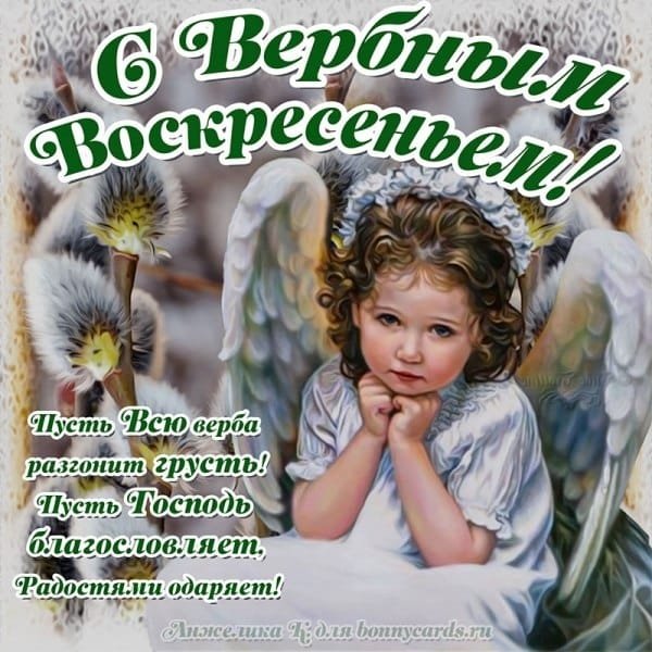 IMG-20210425-WA0004