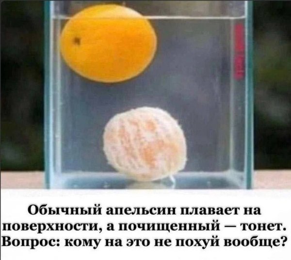picture_411754973