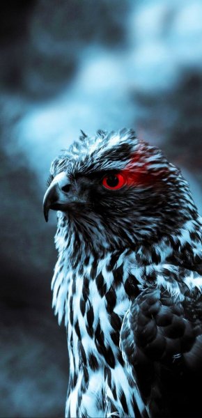 Арт Природа