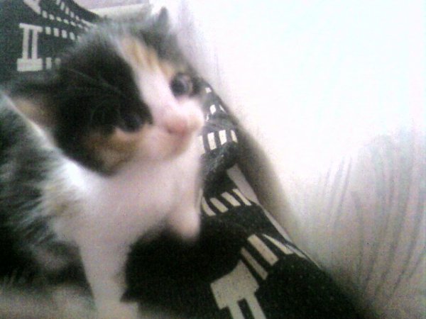 Photo-0742