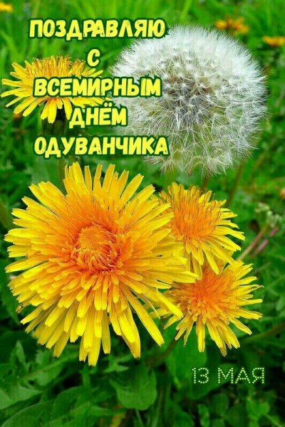 Изображение viber 2023-05-13 04-59-02-251